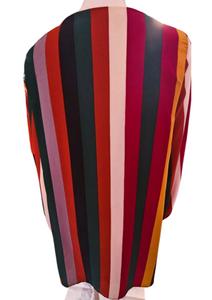 Women's Long Sleeve Multicolor Stripes Mini Dress