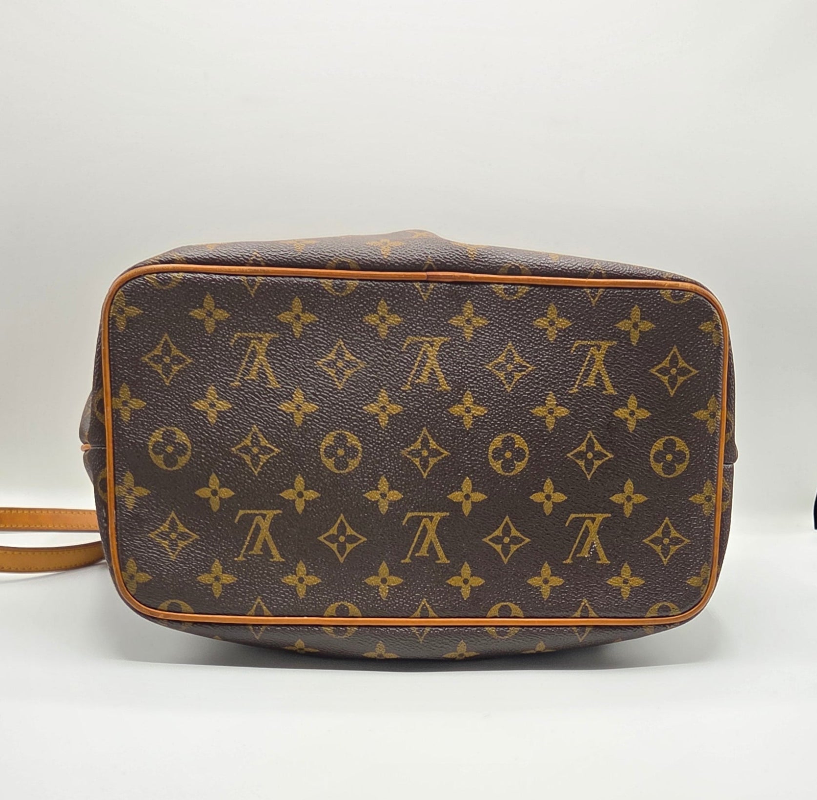 Women's Palermo PM Monogram