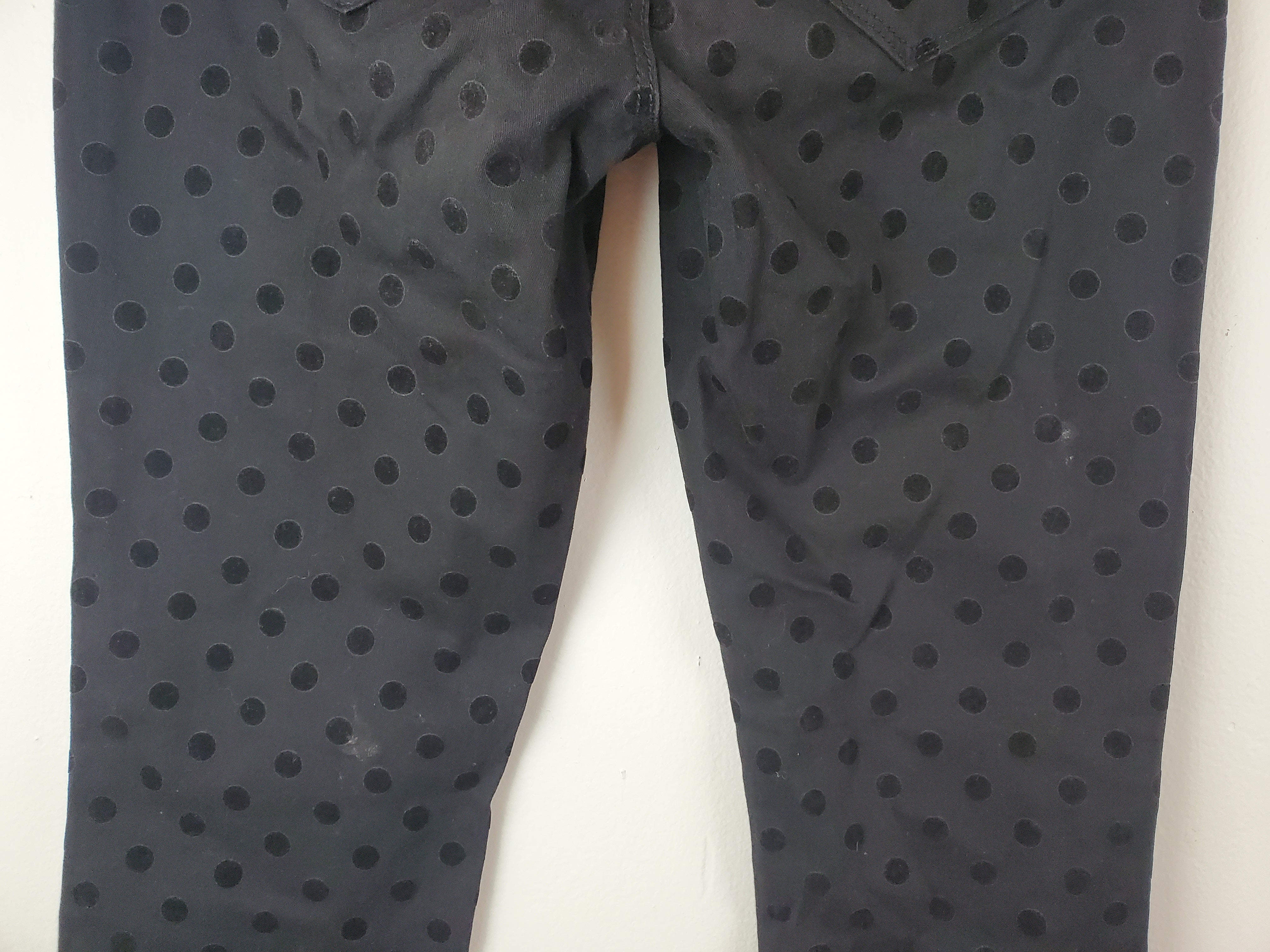 Women's Modern Black Velvet Polka Dot Pant