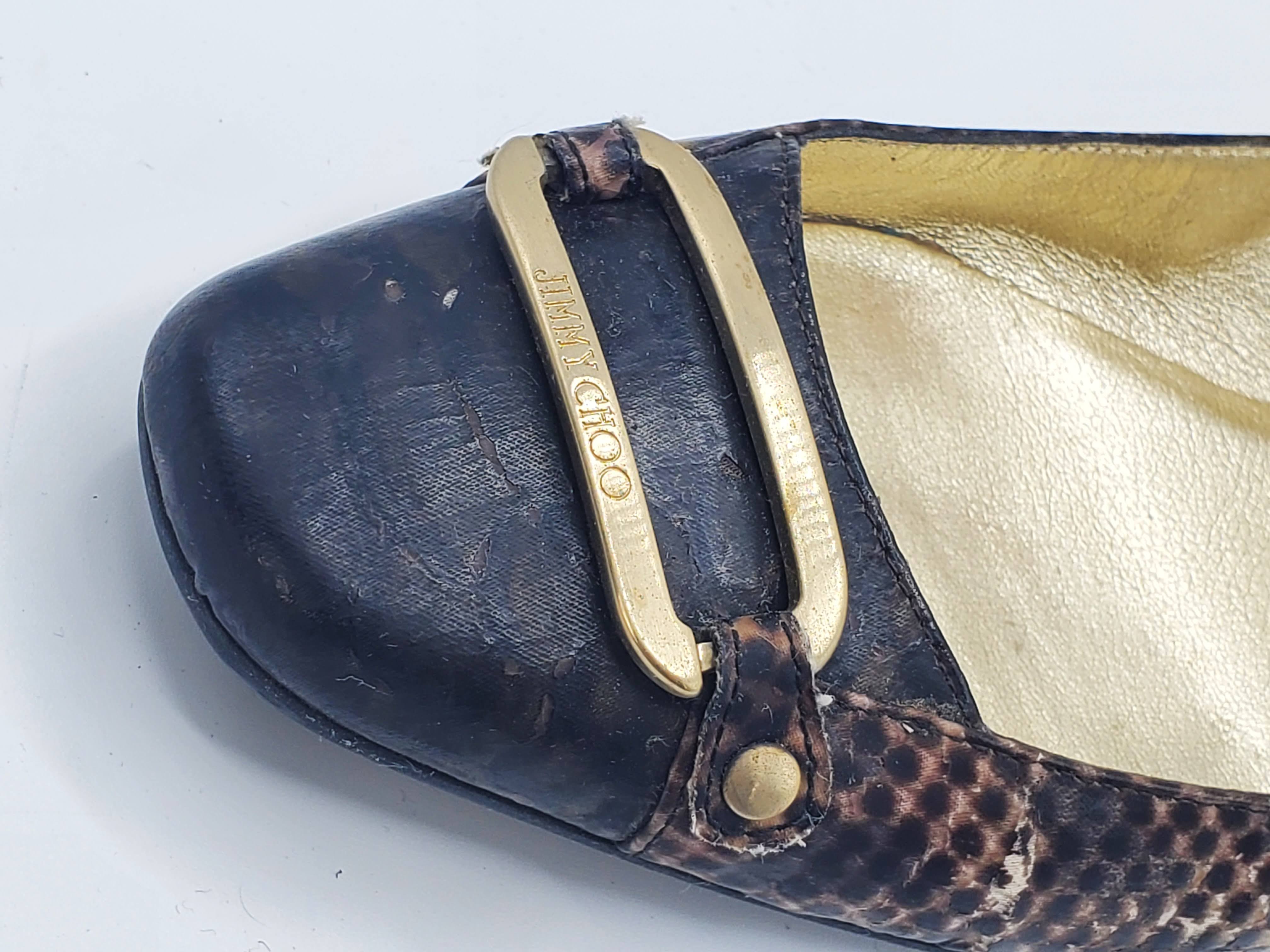 Women's Snake Print Flats with Gold Metal Details